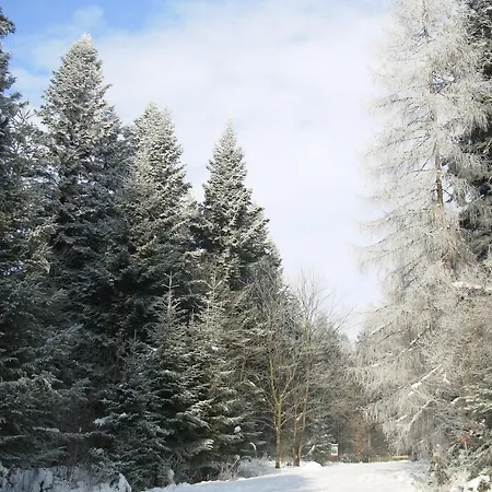 Landhaus Usadba Okhotnichiy Dvor Yabluniv