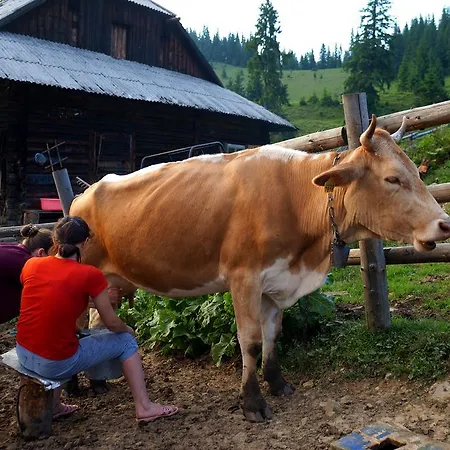Usadba Okhotnichiy Dvor Yabluniv