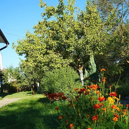 Usadba Okhotnichiy Dvor Yabluniv