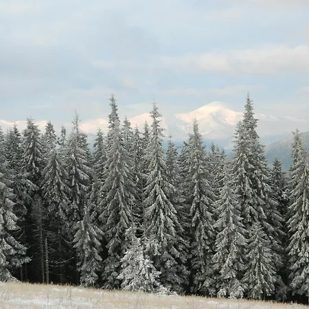 Landhaus Usadba Okhotnichiy Dvor
