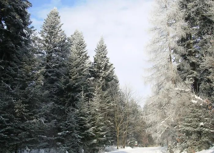 Kır Evi Usadba Okhotnichiy Dvor Yabluniv
