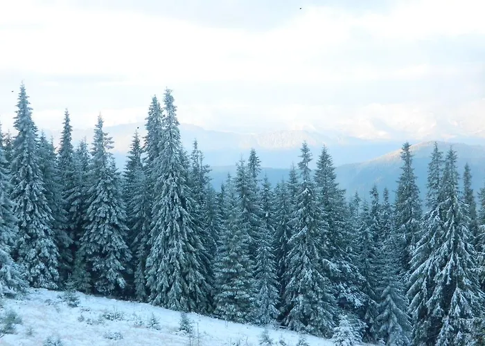 Kır Evi Usadba Okhotnichiy Dvor Yabluniv
