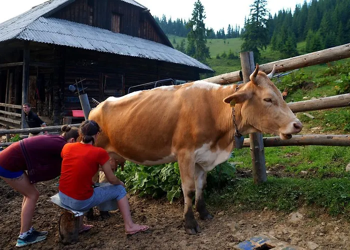 Usadba Okhotnichiy Dvor Yabluniv