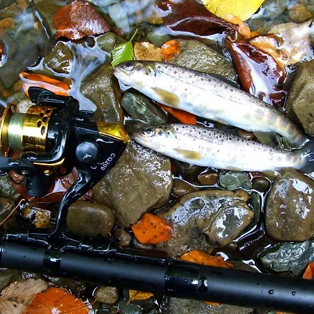 Lantställe Usadba Okhotnichiy Dvor *