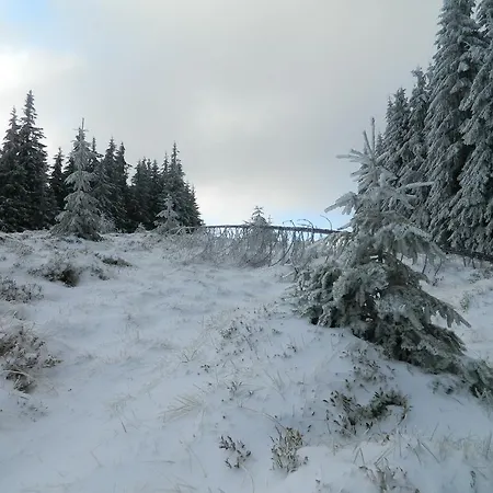 Lantställe Usadba Okhotnichiy Dvor Yabluniv