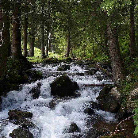 Lantställe Usadba Okhotnichiy Dvor Yabluniv