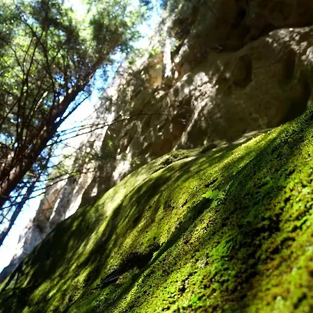 Lantställe Usadba Okhotnichiy Dvor *