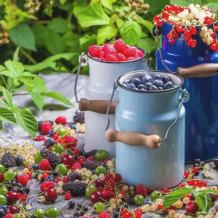 Lantställe Usadba Okhotnichiy Dvor Yabluniv
