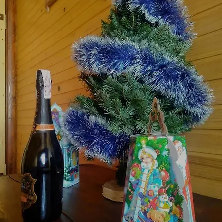 Usadba Okhotnichiy Dvor בית כפרי