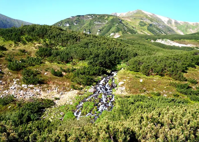 Usadba Okhotnichiy Dvor Yabluniv