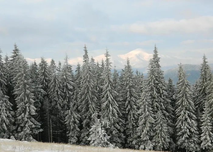 Landhaus Usadba Okhotnichiy Dvor